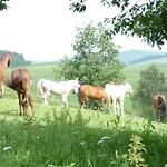 Sportpension Ramlhof בית הארחה