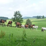 Sportpension Ramlhof 3* קולרשלאג