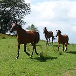 Sportpension Ramlhof 3* קולרשלאג