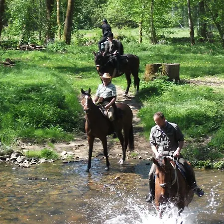 Guest house Sportpension Ramlhof 3*
