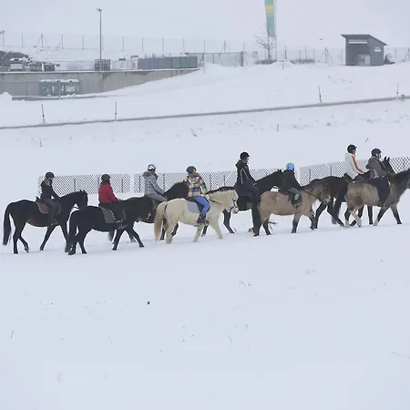 Sportpension Ramlhof Pensión 3*