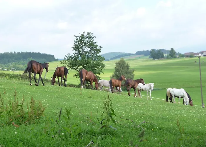 Sportpension Ramlhof 3* Kollerschlag