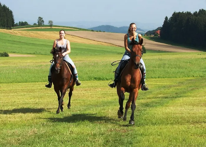 Sportpension Ramlhof Kollerschlag