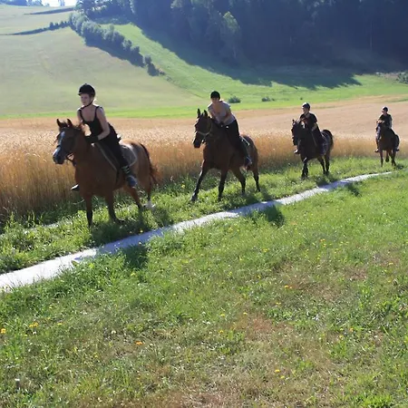 Sportpension Ramlhof 3*