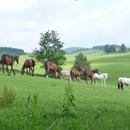 Sportpension Ramlhof 3* Kollerschlag