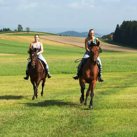 Sportpension Ramlhof Kollerschlag