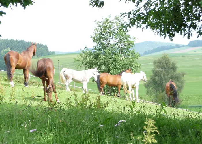 Sportpension Ramlhof 게스트하우스