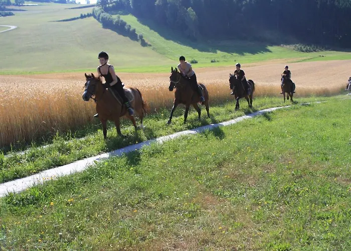 Sportpension Ramlhof 3*