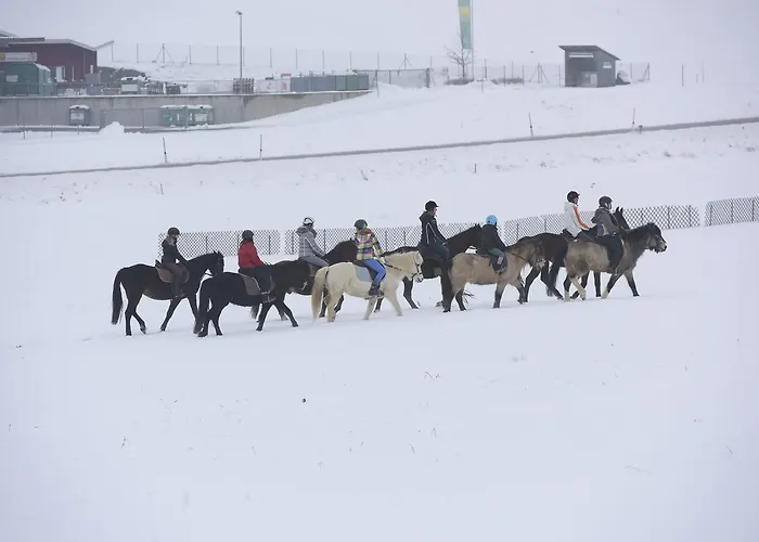 Sportpension Ramlhof 게스트하우스 3*